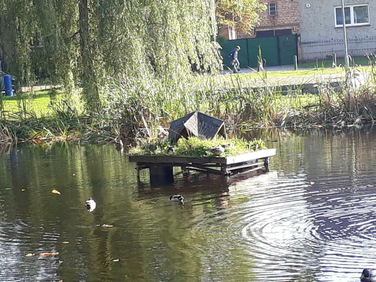 Mein Marienhof Bestensee Dış mekan fotoğraf